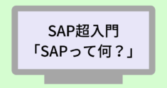 「SAPとは?」を初心者にも分かりやすく4分で解説します